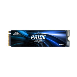 KingSpec OneBoom PCIe 4.0 X400 Series 4TB Gen4 TLC 3D NAND M.2 NVMe Gaming SSD